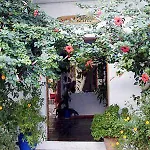 Hotel Arian 2*