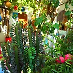 Hotel Arian Páros