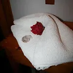 Hotel Arian