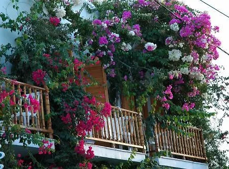 酒店 阿莲酒店 Páros