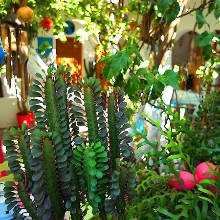 酒店 阿莲酒店 Páros