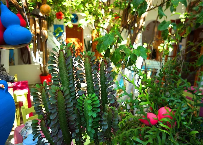 Ξενοδοχείο Arian Πάρος